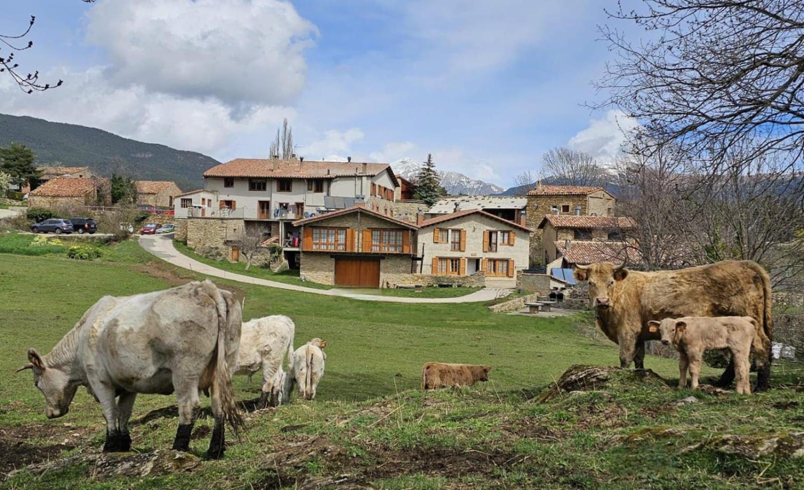 Can Tubau - Casa Rural - Apartaments Campelles Экстерьер фото